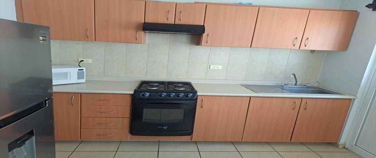 Foto de casa en renta en  , paso de argenta, jesús maría, aguascalientes, 30523959 No. 03