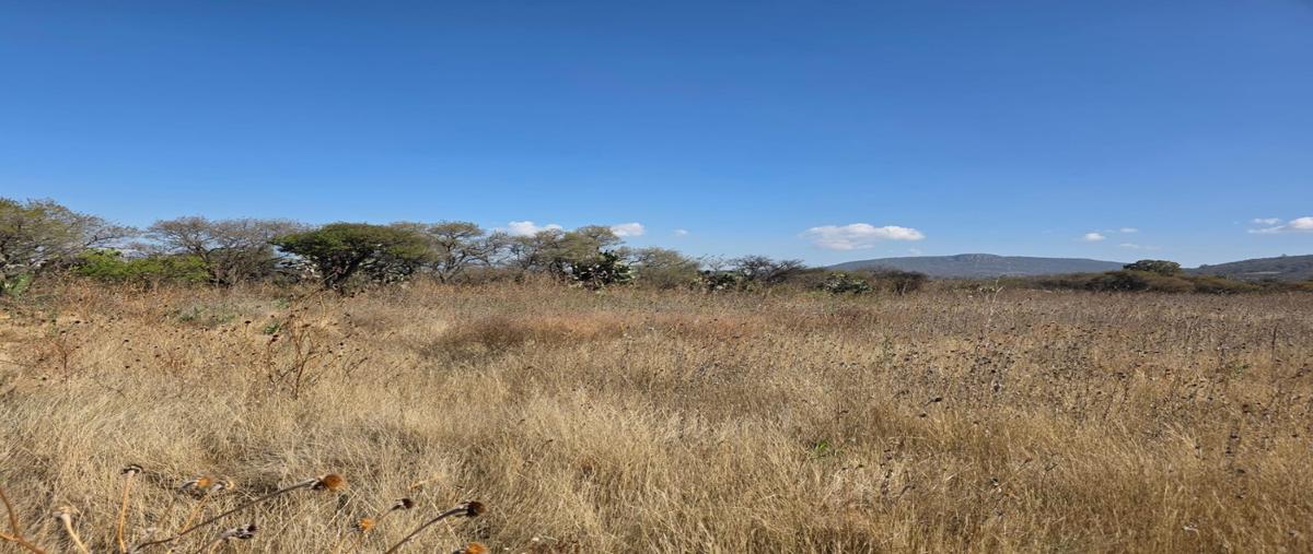 Foto de terreno habitacional en venta en  , paso de mata, san juan del río, querétaro, 0 No. 03
