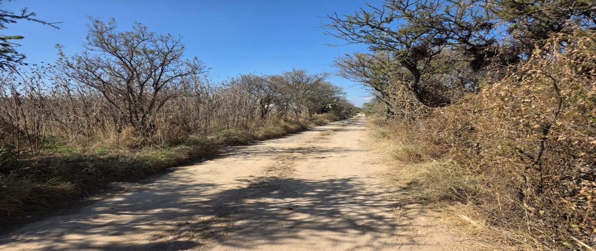 Foto de terreno habitacional en venta en  , paso de mata, san juan del río, querétaro, 0 No. 04
