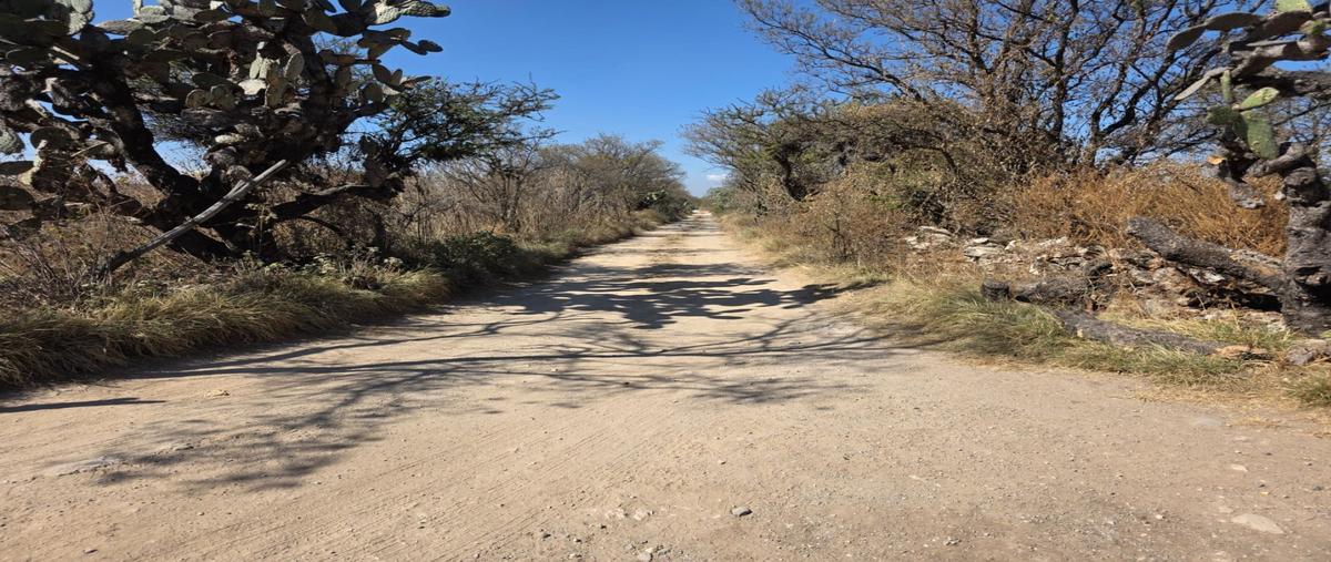 Foto de terreno habitacional en venta en  , paso de mata, san juan del río, querétaro, 0 No. 05