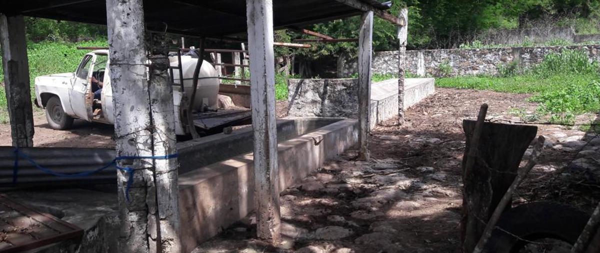 Foto de rancho en venta en  , paso de ovejas centro, paso de ovejas, veracruz de ignacio de la llave, 0 No. 03