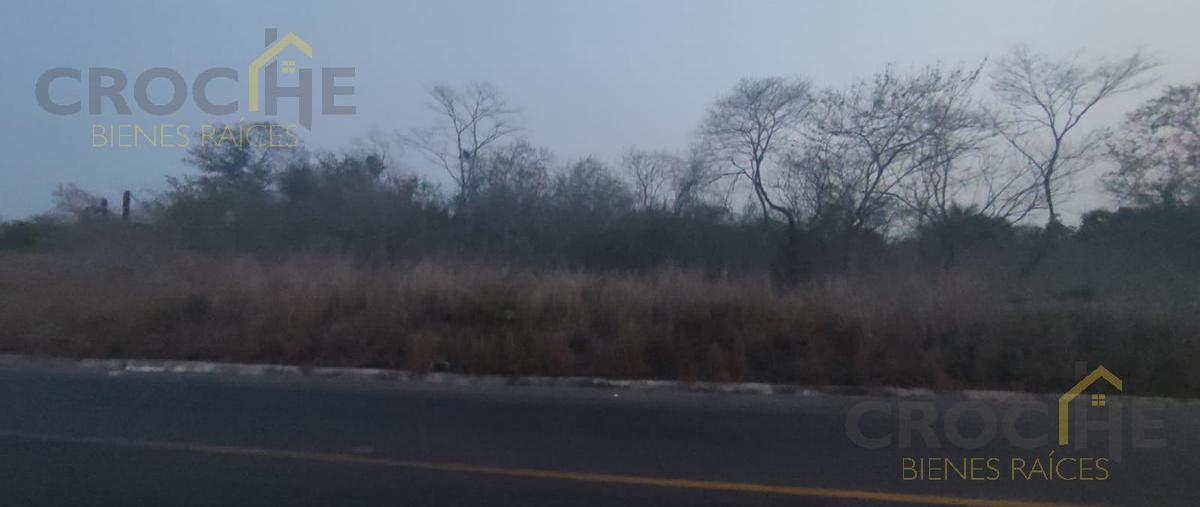 Foto de terreno habitacional en venta en  , paso de ovejas centro, paso de ovejas, veracruz de ignacio de la llave, 0 No. 04