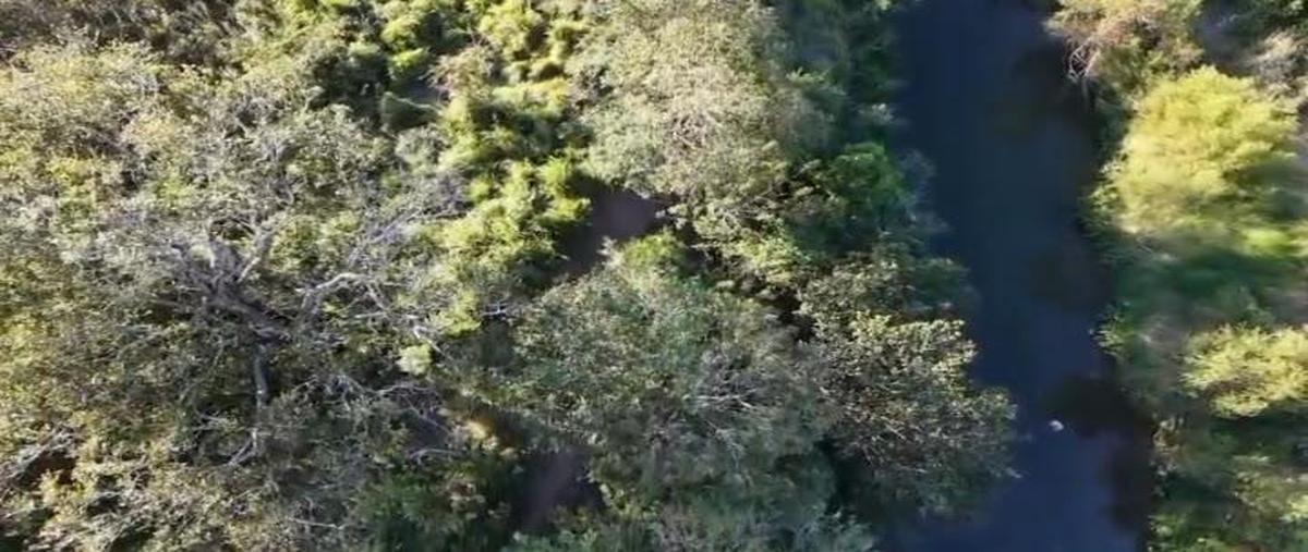 Foto de terreno habitacional en venta en  , paso de ovejas centro, paso de ovejas, veracruz de ignacio de la llave, 31086519 No. 03