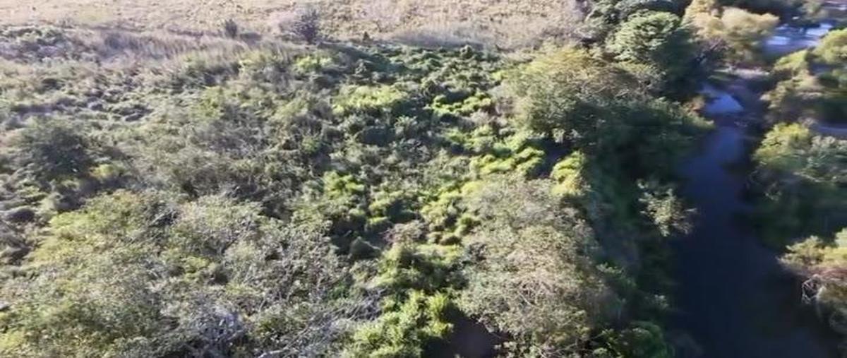 Foto de terreno habitacional en venta en  , paso de ovejas centro, paso de ovejas, veracruz de ignacio de la llave, 31086519 No. 04