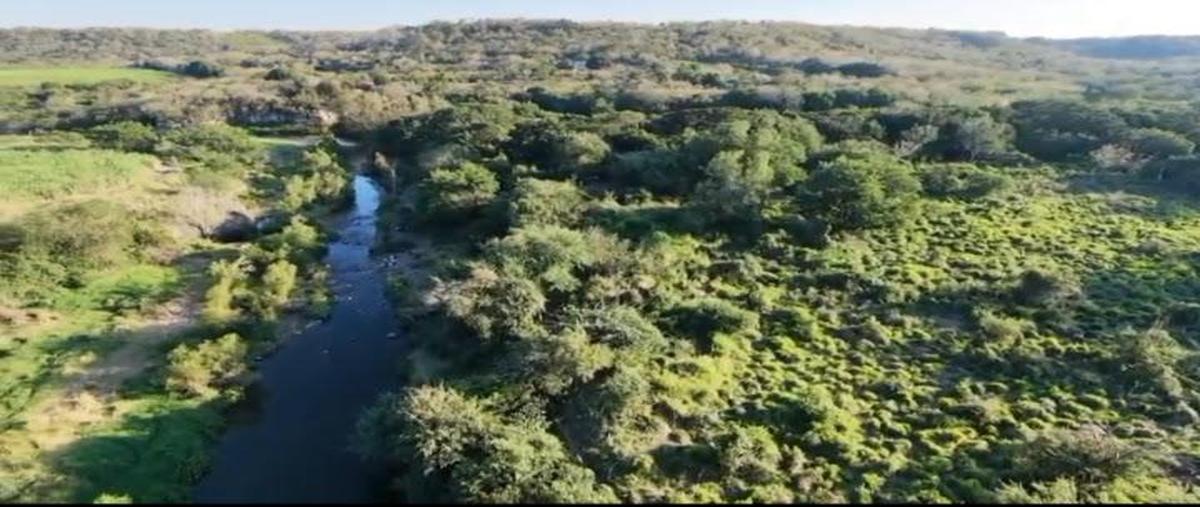 Foto de terreno habitacional en venta en  , paso de ovejas centro, paso de ovejas, veracruz de ignacio de la llave, 31086519 No. 05