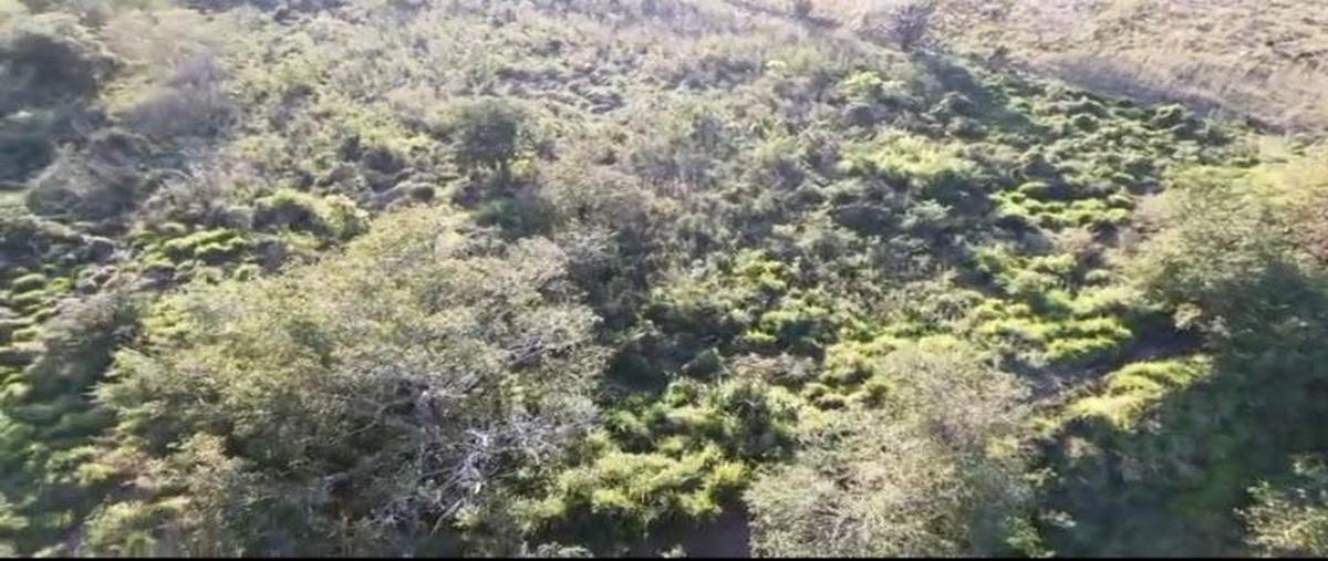 Foto de terreno habitacional en venta en  , paso de ovejas centro, paso de ovejas, veracruz de ignacio de la llave, 0 No. 08