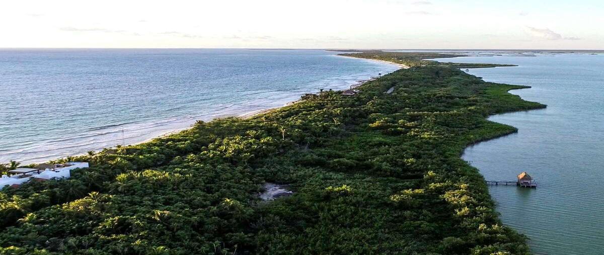 Foto de rancho en venta en paso del muerto f-1l-04zona costera y predios rústicosmza 60lote 71camino tulum-boca paila , boca paila, tulum, quintana roo, 28418468 No. 05