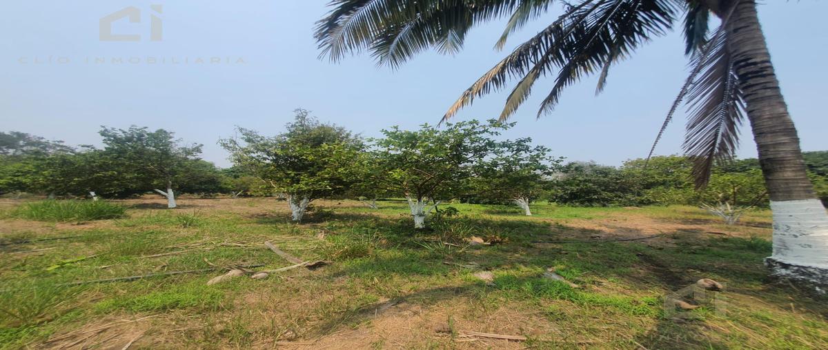 Foto de terreno habitacional en , paso del toro, medellín de bravo, veracruz de ignacio de la llave, 23346819 foto 01 Foto de terreno habitacional en venta en , paso del toro, medellín de bravo, veracruz de ignacio de la llave, 23346819 No. 01