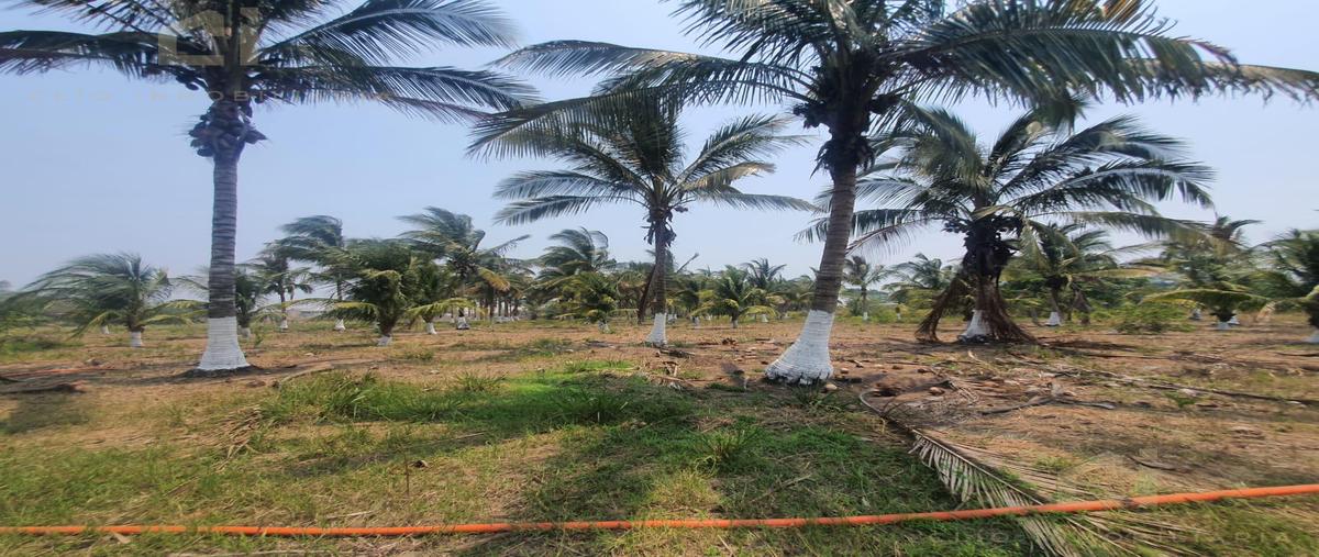 Foto de terreno habitacional en , paso del toro, medellín de bravo, veracruz de ignacio de la llave, 23346819 foto 04 Foto de terreno habitacional en venta en , paso del toro, medellín de bravo, veracruz de ignacio de la llave, 23346819 No. 04
