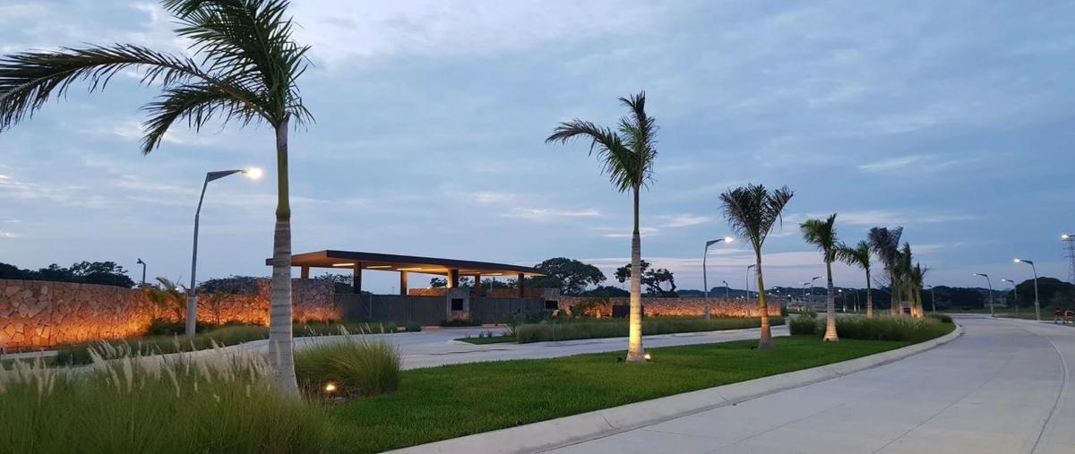Foto de terreno habitacional en venta en  , paso del toro, medellín de bravo, veracruz de ignacio de la llave, 23702028 No. 05