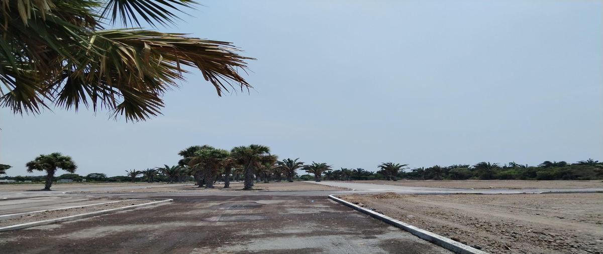 Foto de terreno habitacional en venta en  , paso del toro, medellín de bravo, veracruz de ignacio de la llave, 0 No. 04