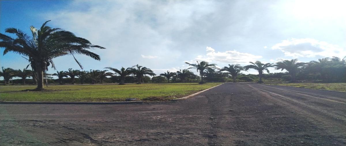 Foto de terreno habitacional en venta en  , paso del toro, medellín de bravo, veracruz de ignacio de la llave, 0 No. 04