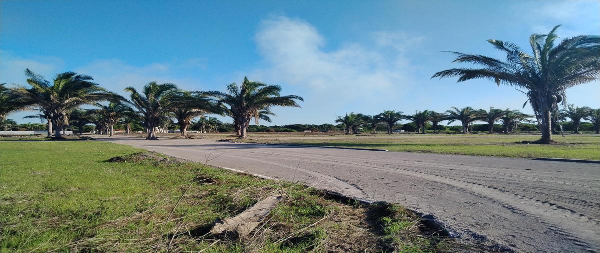 Foto de terreno habitacional en venta en  , paso del toro, medellín de bravo, veracruz de ignacio de la llave, 0 No. 05