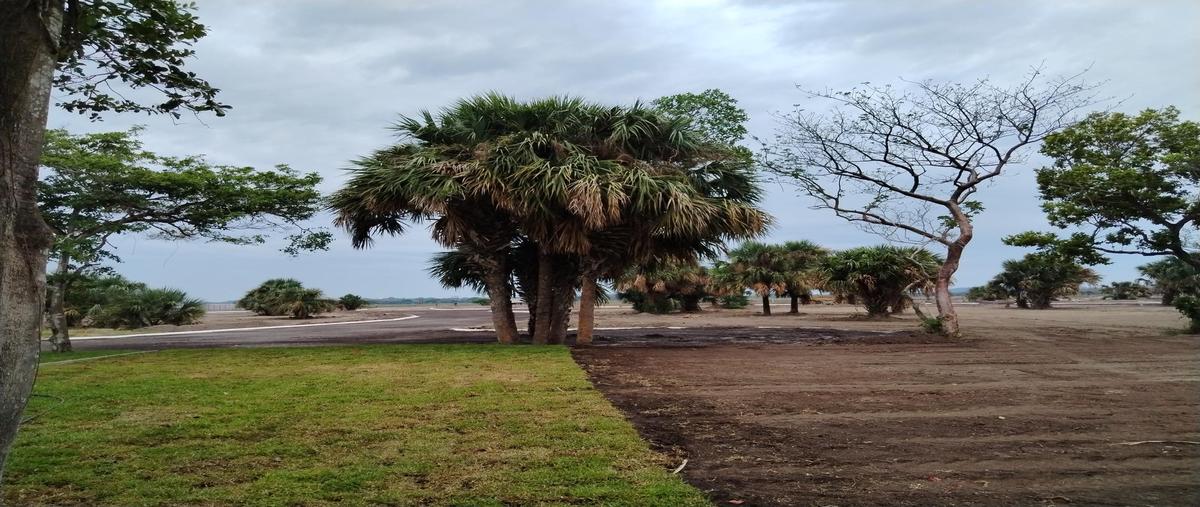 Foto de terreno habitacional en venta en  , paso del toro, medellín de bravo, veracruz de ignacio de la llave, 0 No. 04