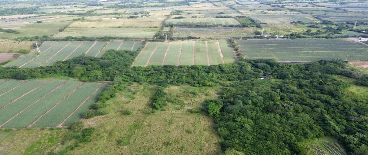 Foto de terreno habitacional en , paso del toro, medellín de bravo, veracruz de ignacio de la llave, 0 foto 05 Foto de terreno habitacional en venta en , paso del toro, medellín de bravo, veracruz de ignacio de la llave, 0 No. 05
