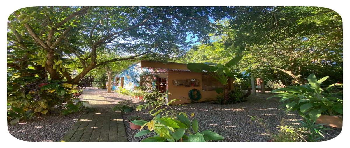 Foto de departamento en renta en  , paso del toro, medellín de bravo, veracruz de ignacio de la llave, 0 No. 05