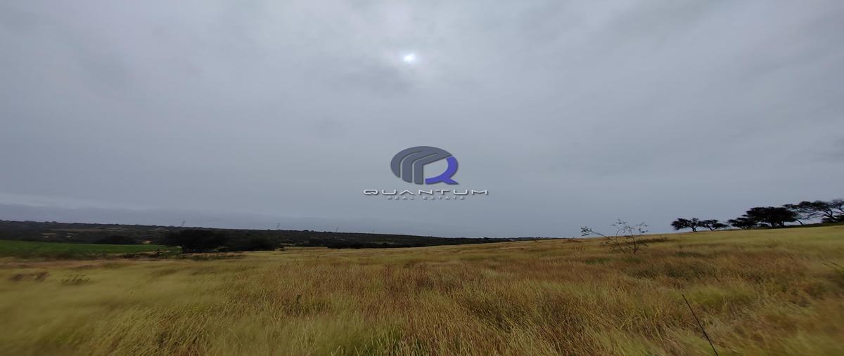 Foto de terreno habitacional en venta en  , paso hondo, aguascalientes, aguascalientes, 0 No. 04