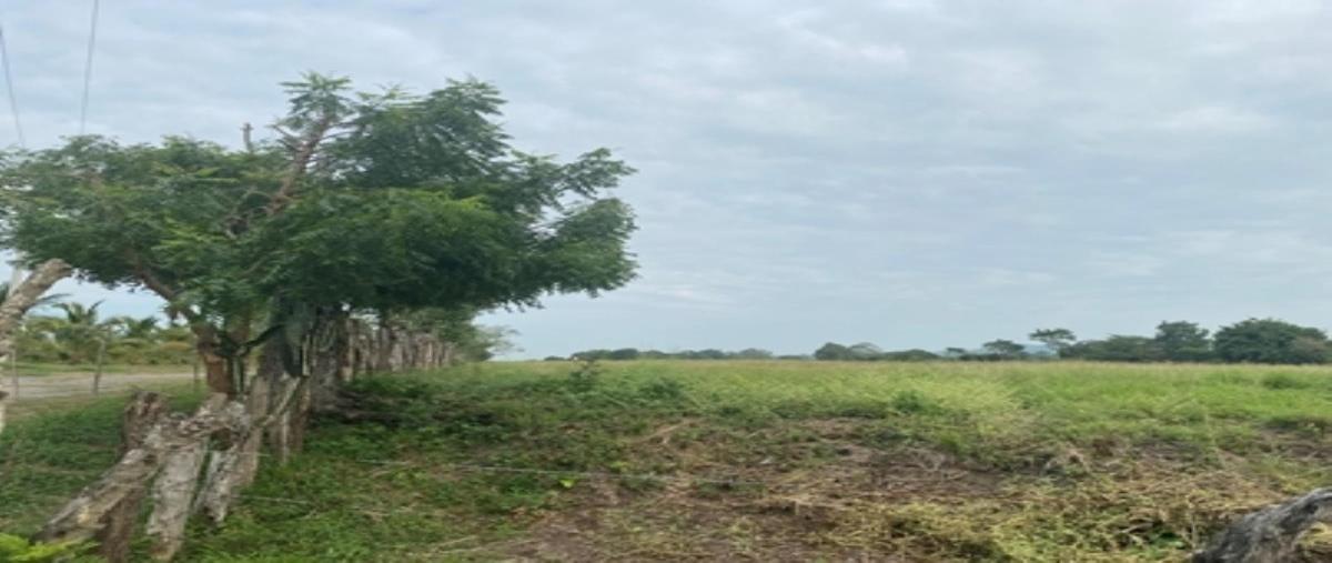 Foto de terreno habitacional en venta en  , paso san juan, veracruz, veracruz de ignacio de la llave, 0 No. 04