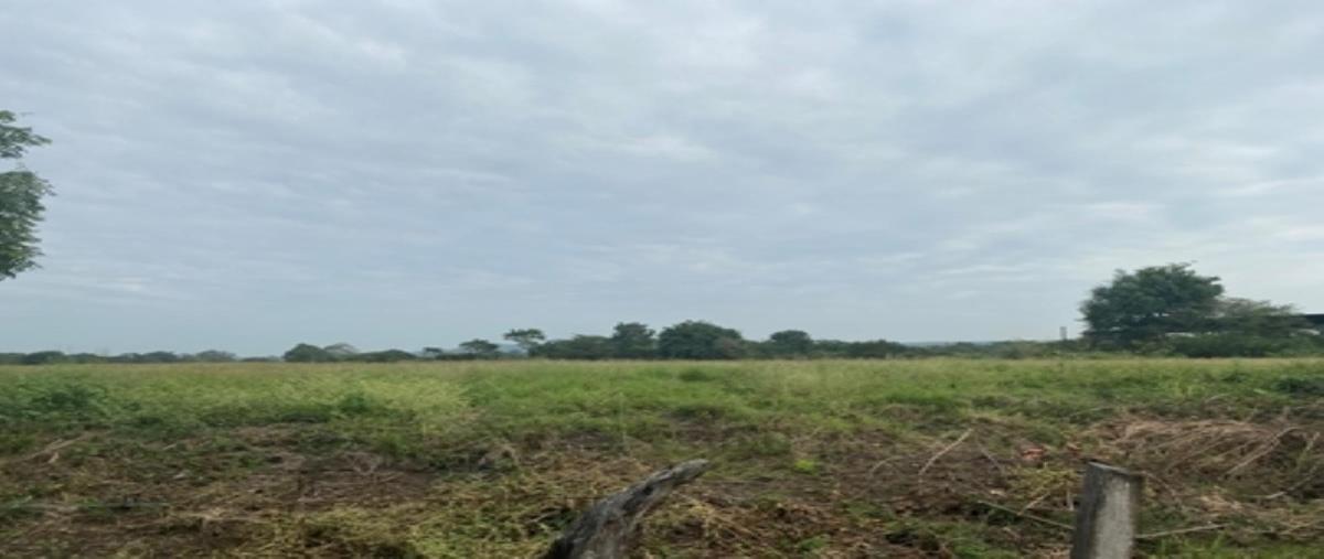 Foto de terreno habitacional en venta en  , paso san juan, veracruz, veracruz de ignacio de la llave, 0 No. 05