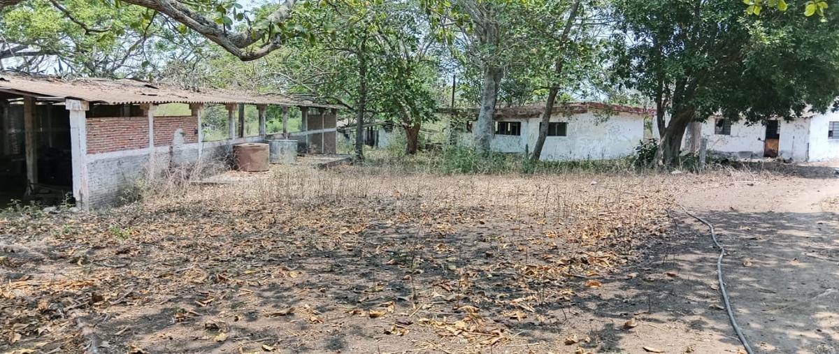 Foto de terreno habitacional en renta en paso san juan whi306457, paso san juan, veracruz, veracruz de ignacio de la llave, 27867642 No. 03