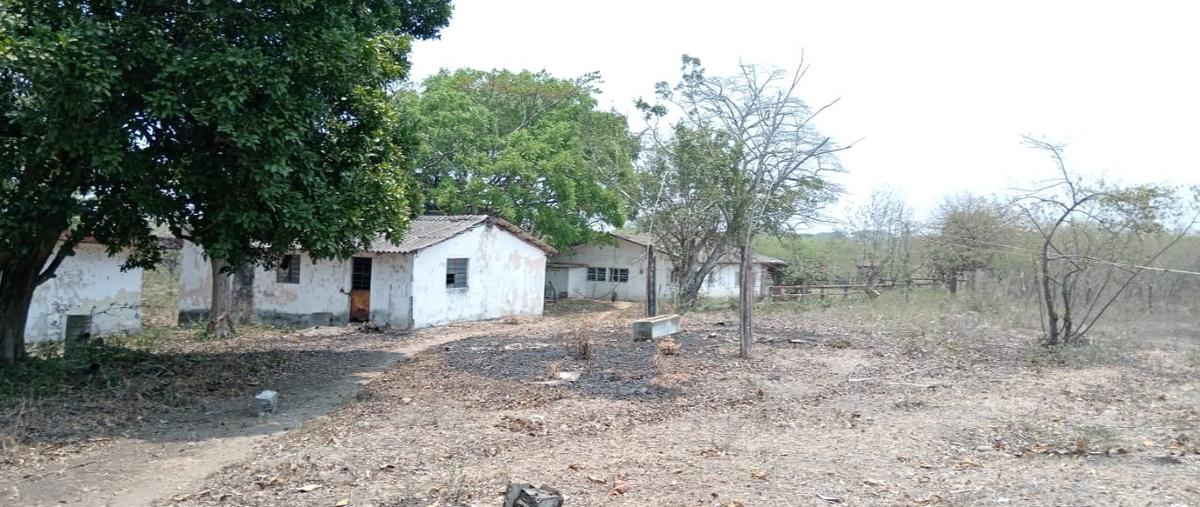 Foto de terreno habitacional en renta en paso san juan whi306457, paso san juan, veracruz, veracruz de ignacio de la llave, 27867642 No. 04