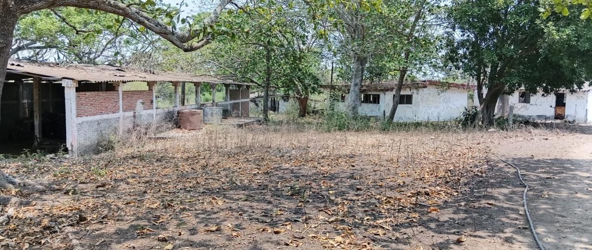 Foto de terreno habitacional en renta en paso san juan whi306457, paso san juan, veracruz, veracruz de ignacio de la llave, 27867642 No. 05