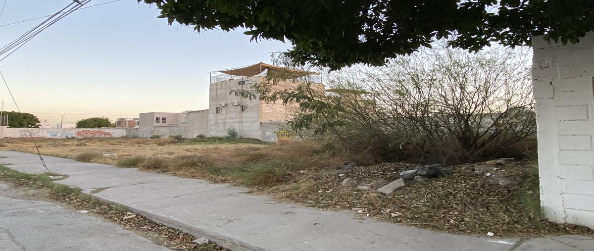 Foto de terreno comercial en venta en pavorreal , torreón residencial, torreón, coahuila de zaragoza, 0 No. 05
