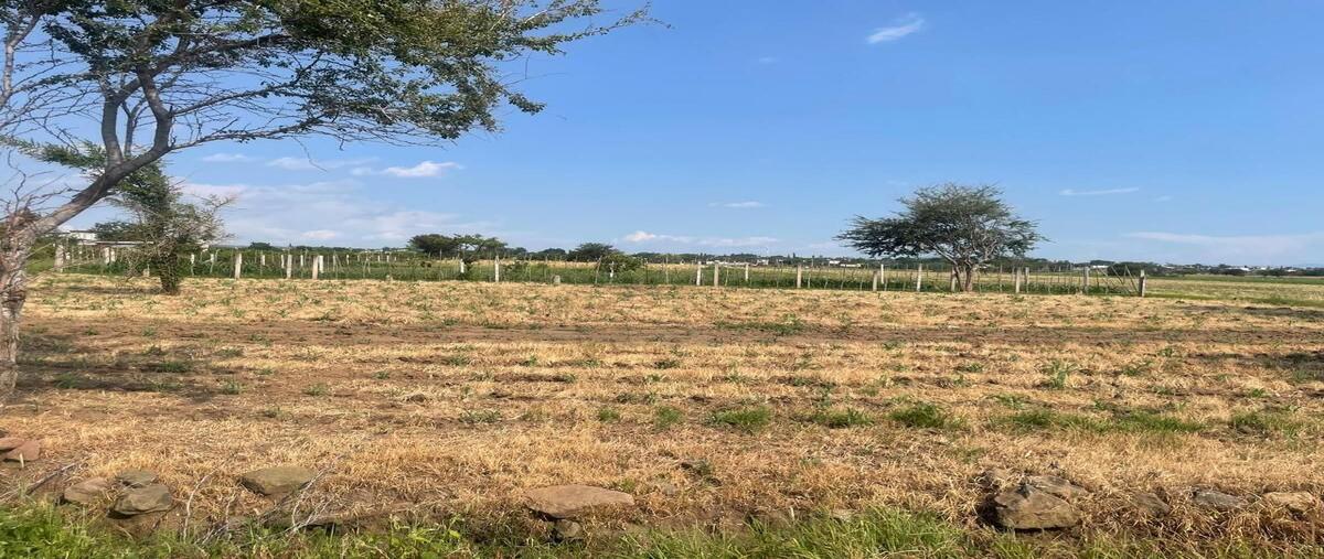 Foto de terreno habitacional en venta en pazulco , yecapixtla, yecapixtla, morelos, 0 No. 03