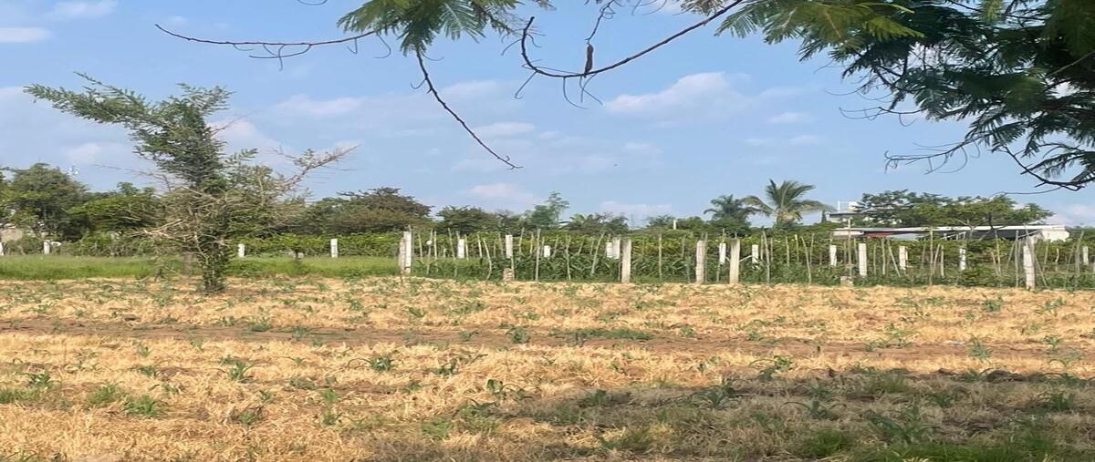 Foto de terreno habitacional en venta en pazulco , yecapixtla, yecapixtla, morelos, 0 No. 04