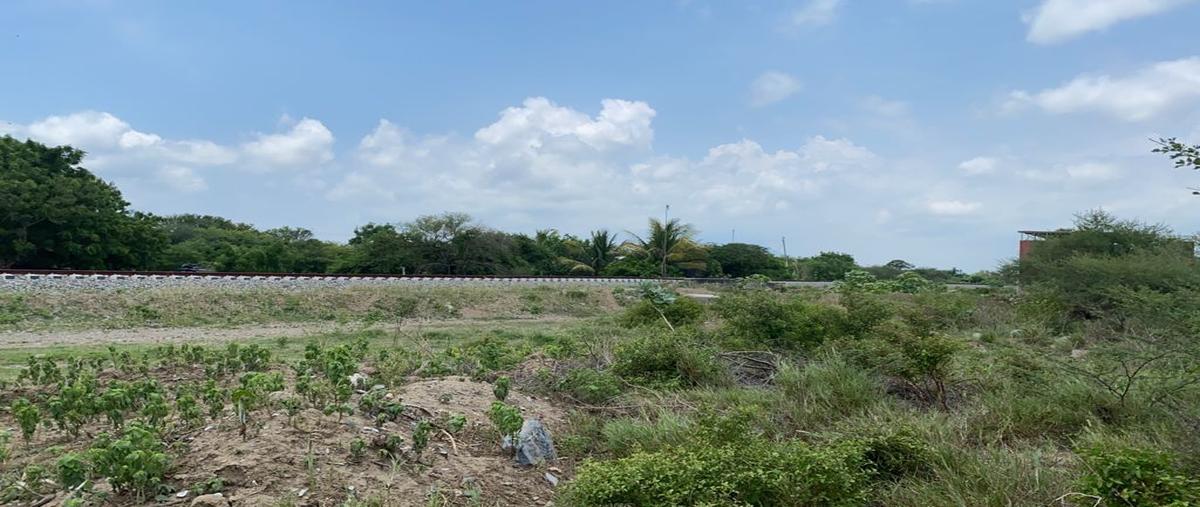 Foto de terreno habitacional en venta en  , pearson, santo domingo tehuantepec, oaxaca, 21985150 No. 03