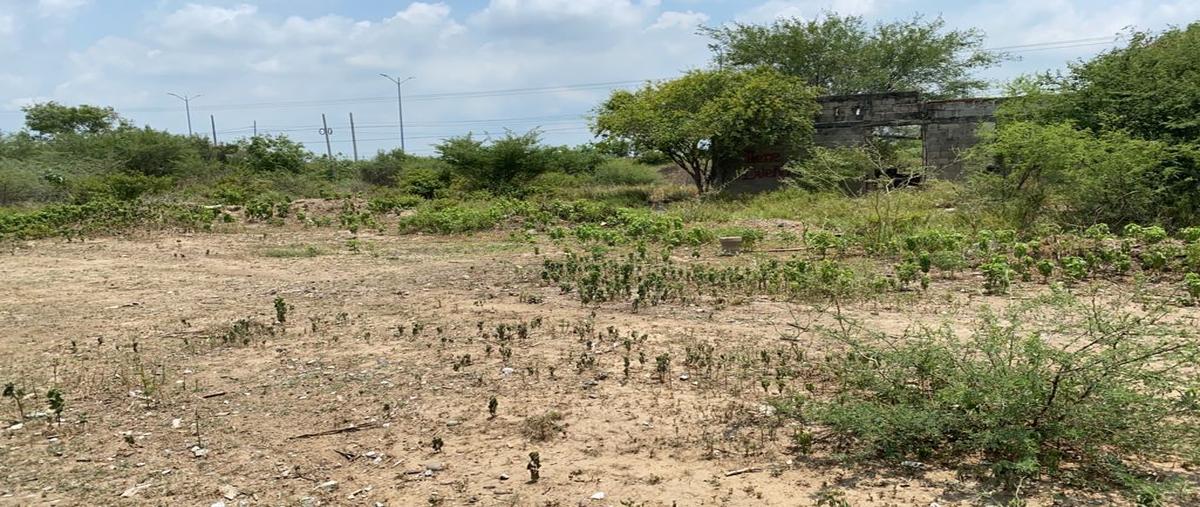Foto de terreno habitacional en venta en  , pearson, santo domingo tehuantepec, oaxaca, 21985150 No. 04