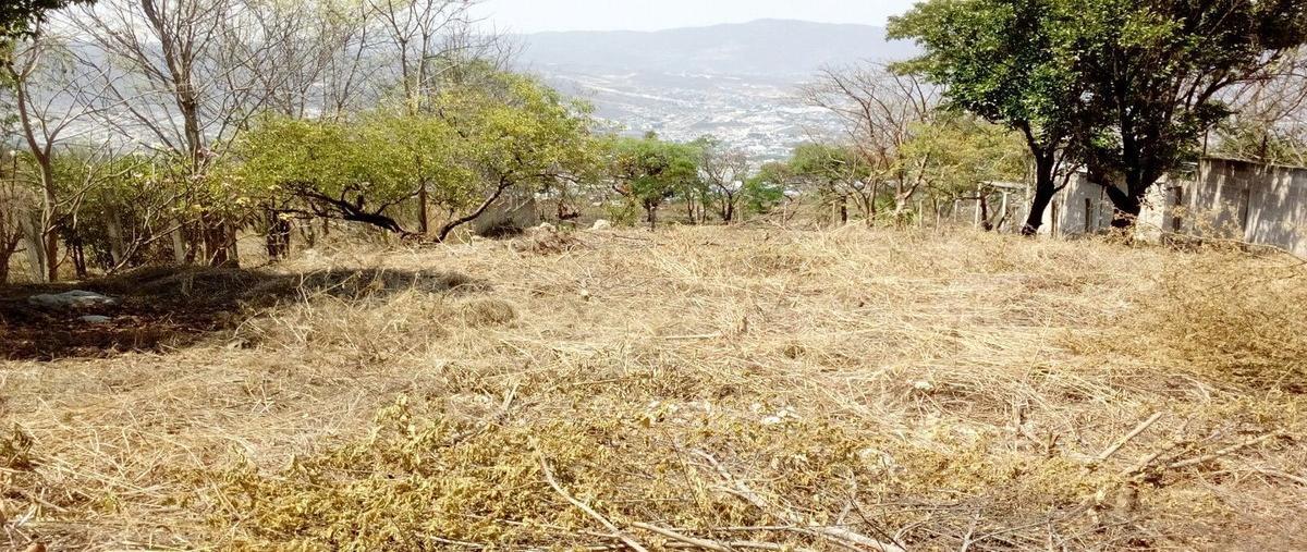 Foto de terreno habitacional en pecha , el magueyito, tuxtla gutiérrez, chiapas, 14121168 foto 04 Foto de terreno habitacional en venta en pecha , el magueyito, tuxtla gutiérrez, chiapas, 14121168 No. 04