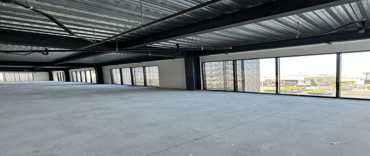 Foto de oficina en renta en pechuga , centro comercial otay, tijuana, baja california, 28365879 No. 03