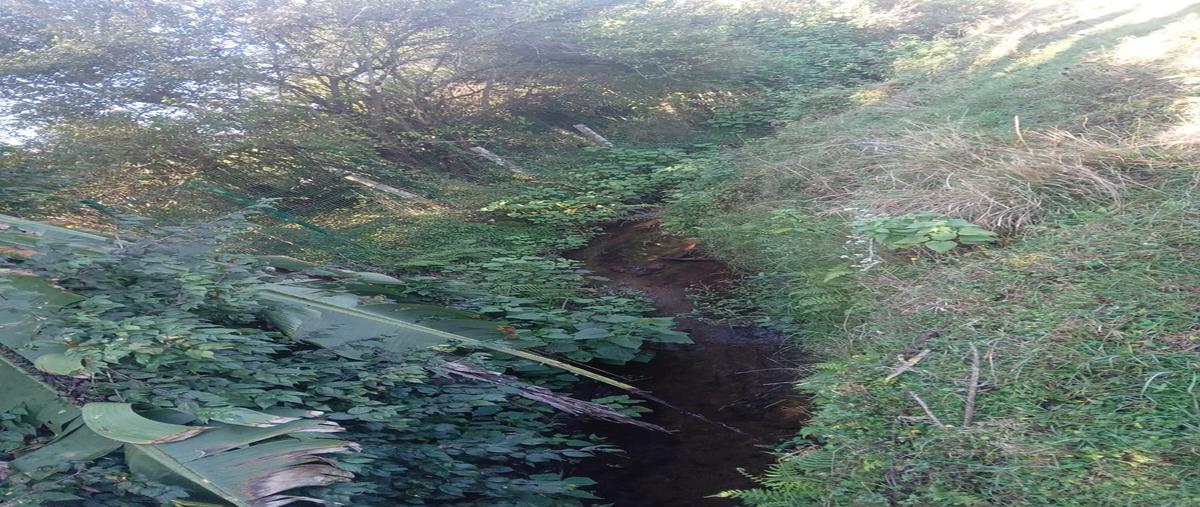 Foto de terreno habitacional en venta en pedregal , avándaro, valle de bravo, méxico, 0 No. 03