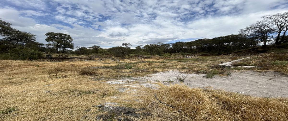 Foto de terreno habitacional en venta en  , pedregal de guadalupe hidalgo, ocoyoacac, méxico, 0 No. 03