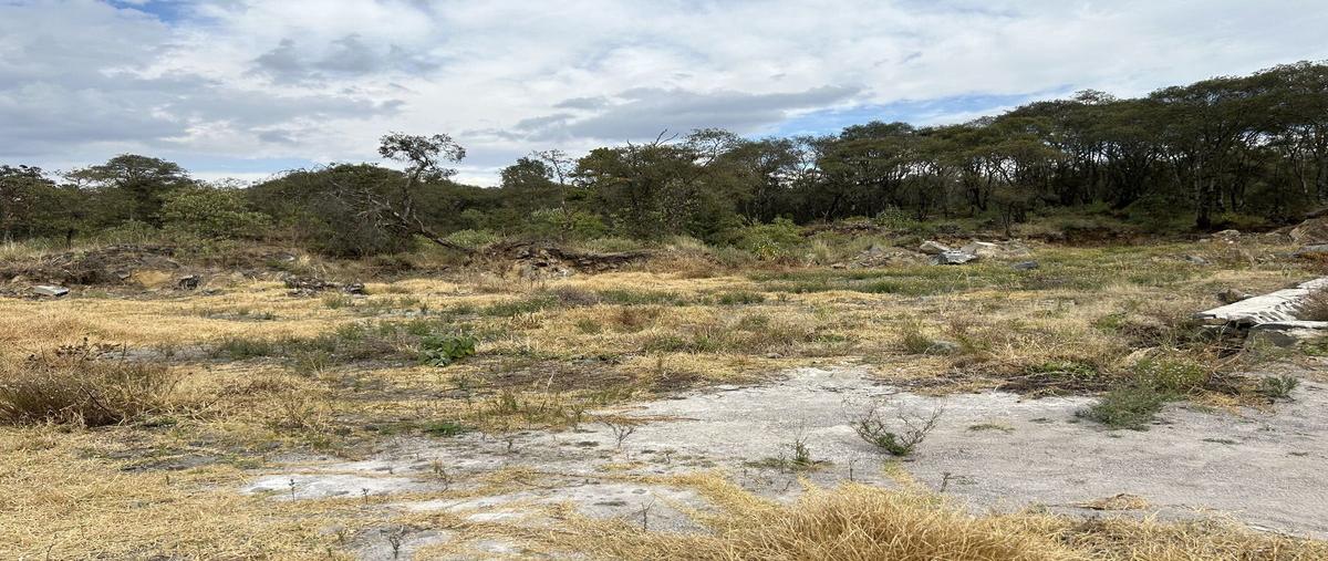 Foto de terreno habitacional en venta en  , pedregal de guadalupe hidalgo, ocoyoacac, méxico, 0 No. 04