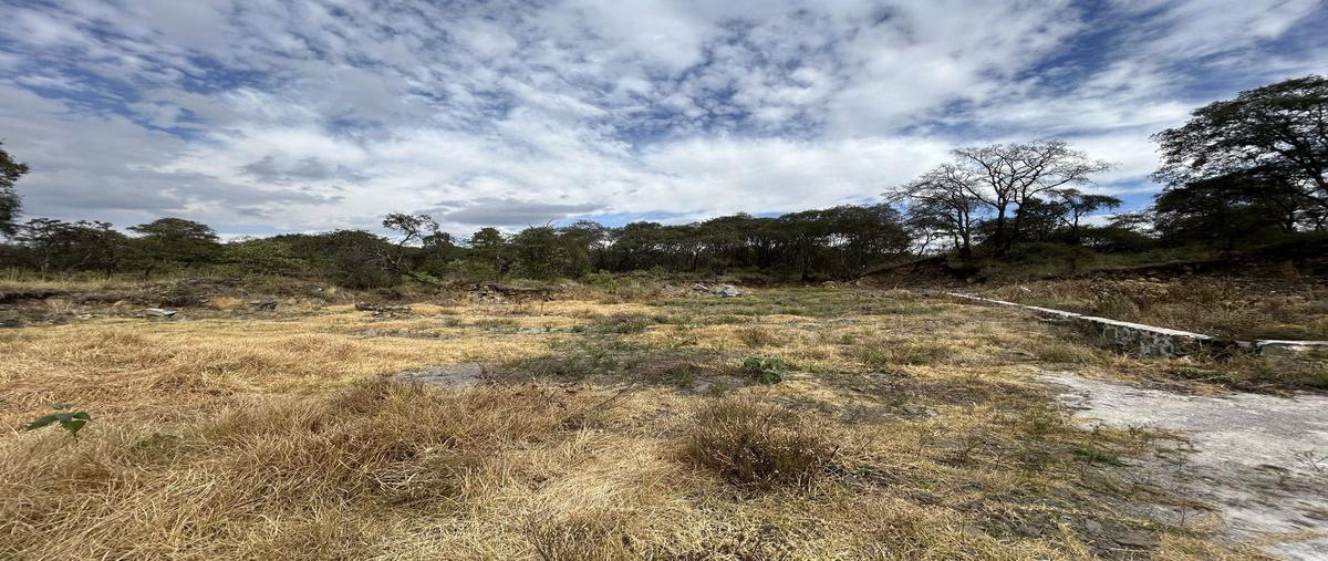 Foto de terreno habitacional en venta en  , pedregal de guadalupe hidalgo, ocoyoacac, méxico, 0 No. 05