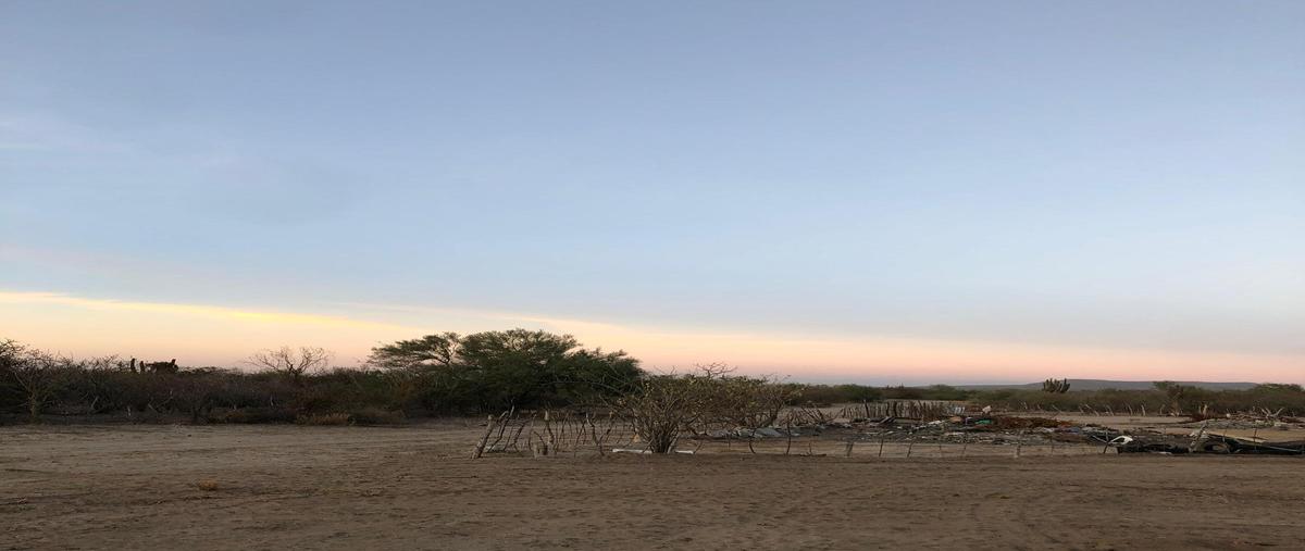 Foto de terreno habitacional en venta en  , pedregal de la paz, la paz, baja california sur, 28900136 No. 03