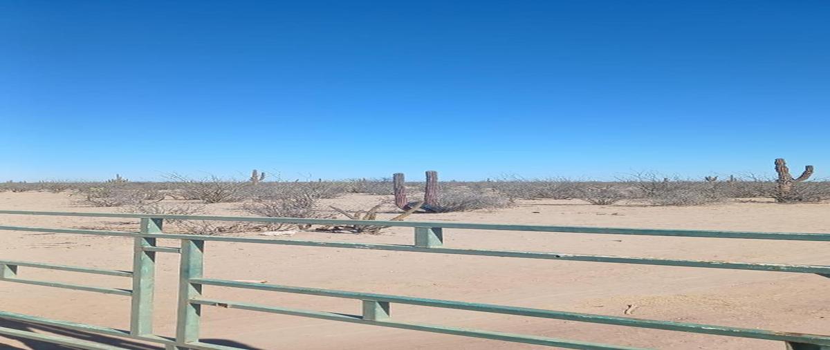 Foto de terreno habitacional en venta en  , pedregal de la paz, la paz, baja california sur, 29212573 No. 05