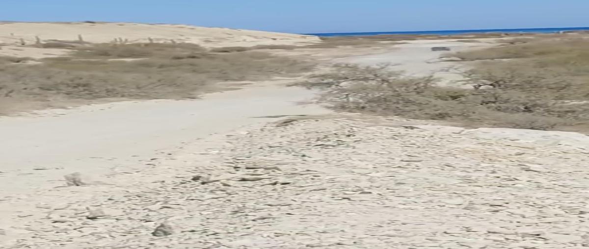 Foto de terreno habitacional en venta en  , pedregal de la paz, la paz, baja california sur, 29303435 No. 03