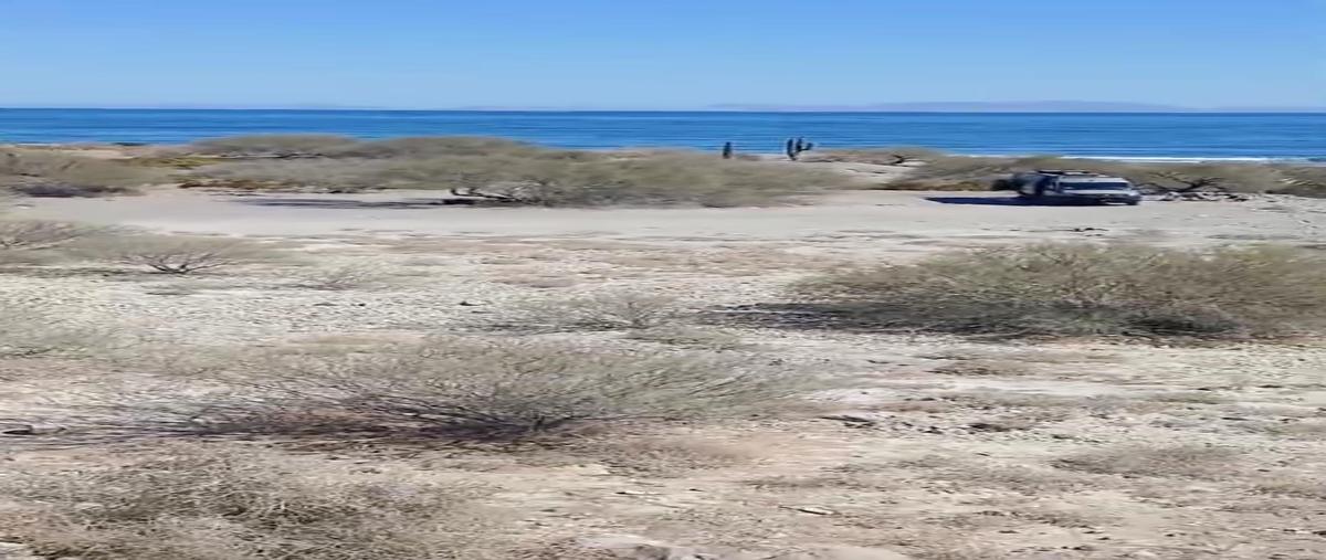 Foto de terreno habitacional en venta en  , pedregal de la paz, la paz, baja california sur, 29303435 No. 05