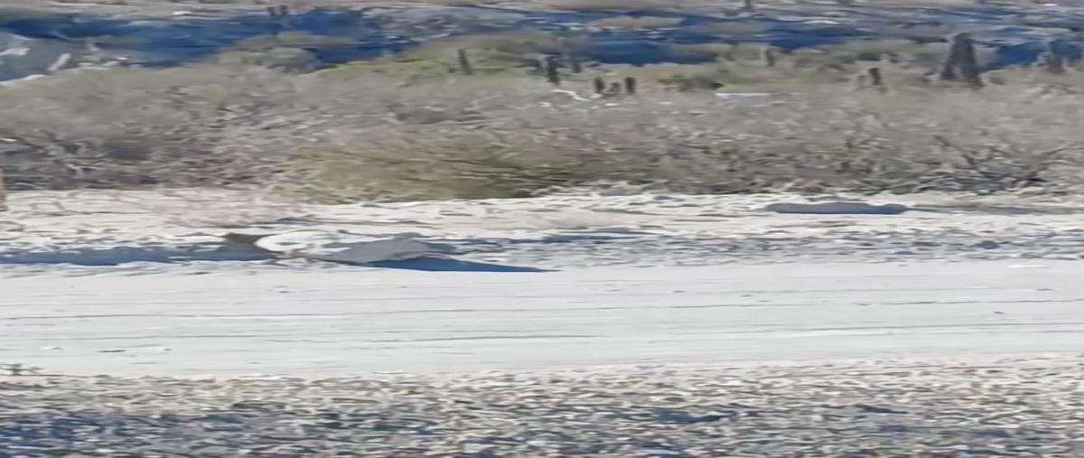 Foto de terreno habitacional en venta en  , pedregal de la paz, la paz, baja california sur, 29303436 No. 03