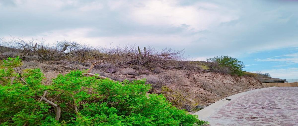 Foto de terreno habitacional en venta en  , pedregal de la paz, la paz, baja california sur, 0 No. 02