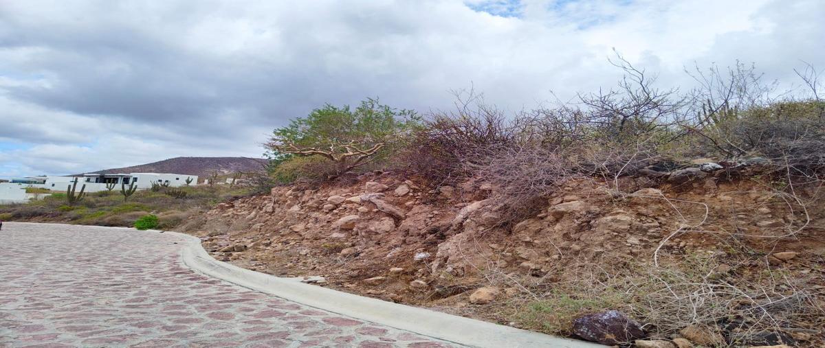 Foto de terreno habitacional en venta en  , pedregal de la paz, la paz, baja california sur, 0 No. 03