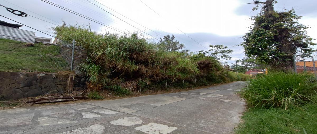 Foto de terreno habitacional en venta en  , pedregal de las animas, xalapa, veracruz de ignacio de la llave, 0 No. 03