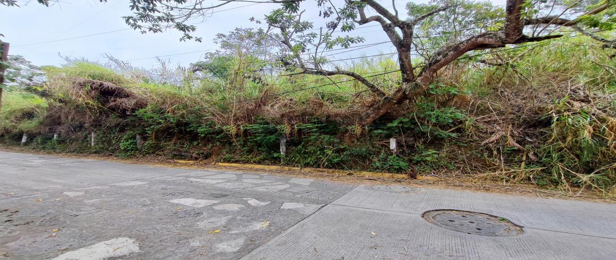 Foto de terreno habitacional en venta en  , pedregal de las animas, xalapa, veracruz de ignacio de la llave, 0 No. 04