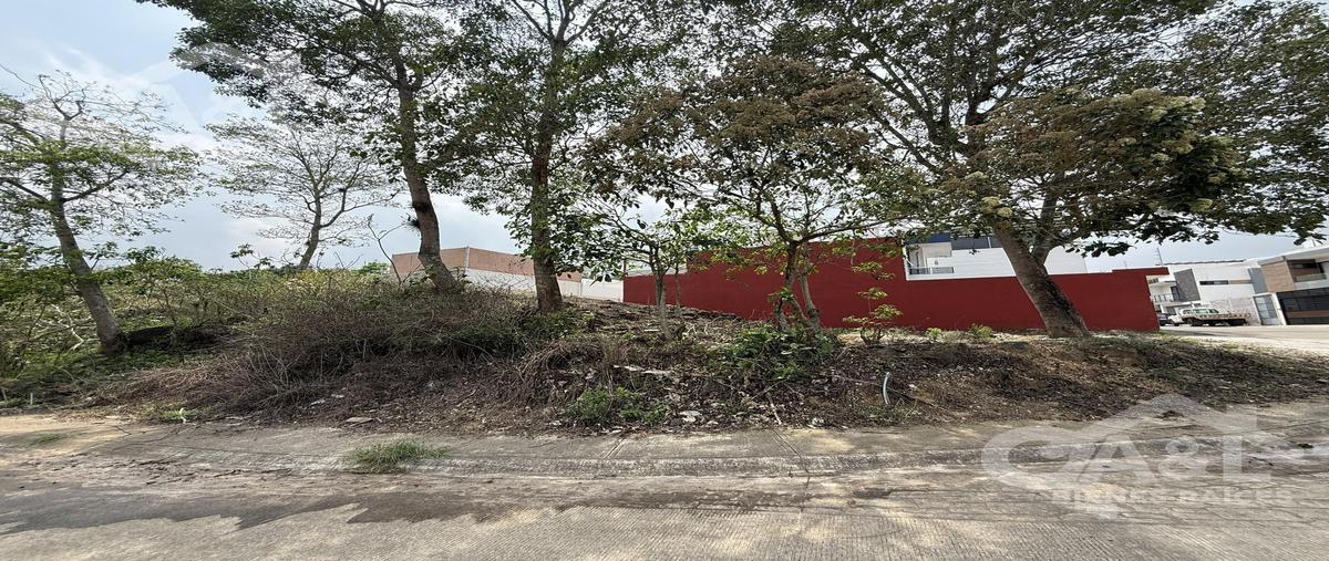 Foto de terreno habitacional en , pedregal de las animas, xalapa, veracruz de ignacio de la llave, 0 foto 03 Foto de terreno habitacional en venta en , pedregal de las animas, xalapa, veracruz de ignacio de la llave, 0 No. 03
