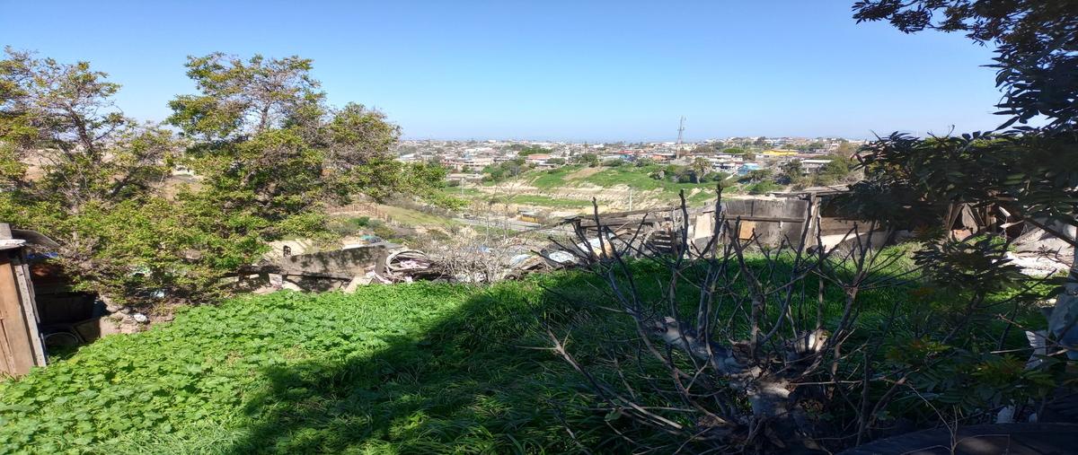 Foto de terreno habitacional en , pedregal de santa julia, tijuana, baja california, 27074175 foto 02 Foto de terreno habitacional en venta en , pedregal de santa julia, tijuana, baja california, 27074175 No. 02