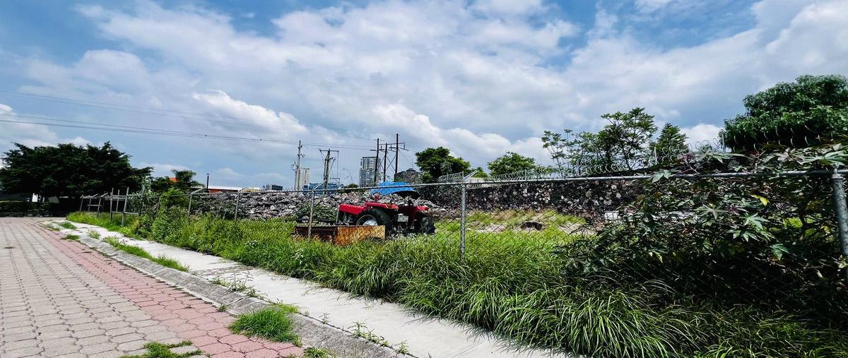 Foto de terreno habitacional en venta en  , pedregal de vista hermosa, querétaro, querétaro, 28387620 No. 05