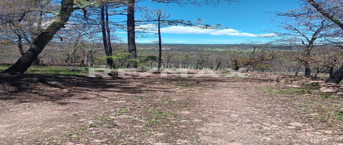 Foto de terreno habitacional en pedregal del bosque , llano grande de milpillas chico, pueblo nuevo, durango, 30186033 foto 01 Foto de terreno habitacional en venta en pedregal del bosque , llano grande de milpillas chico, pueblo nuevo, durango, 30186033 No. 01